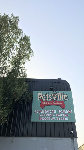 petsville project